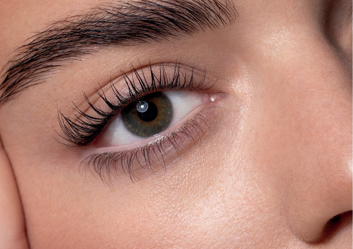 Wimpern & Augenbrauen