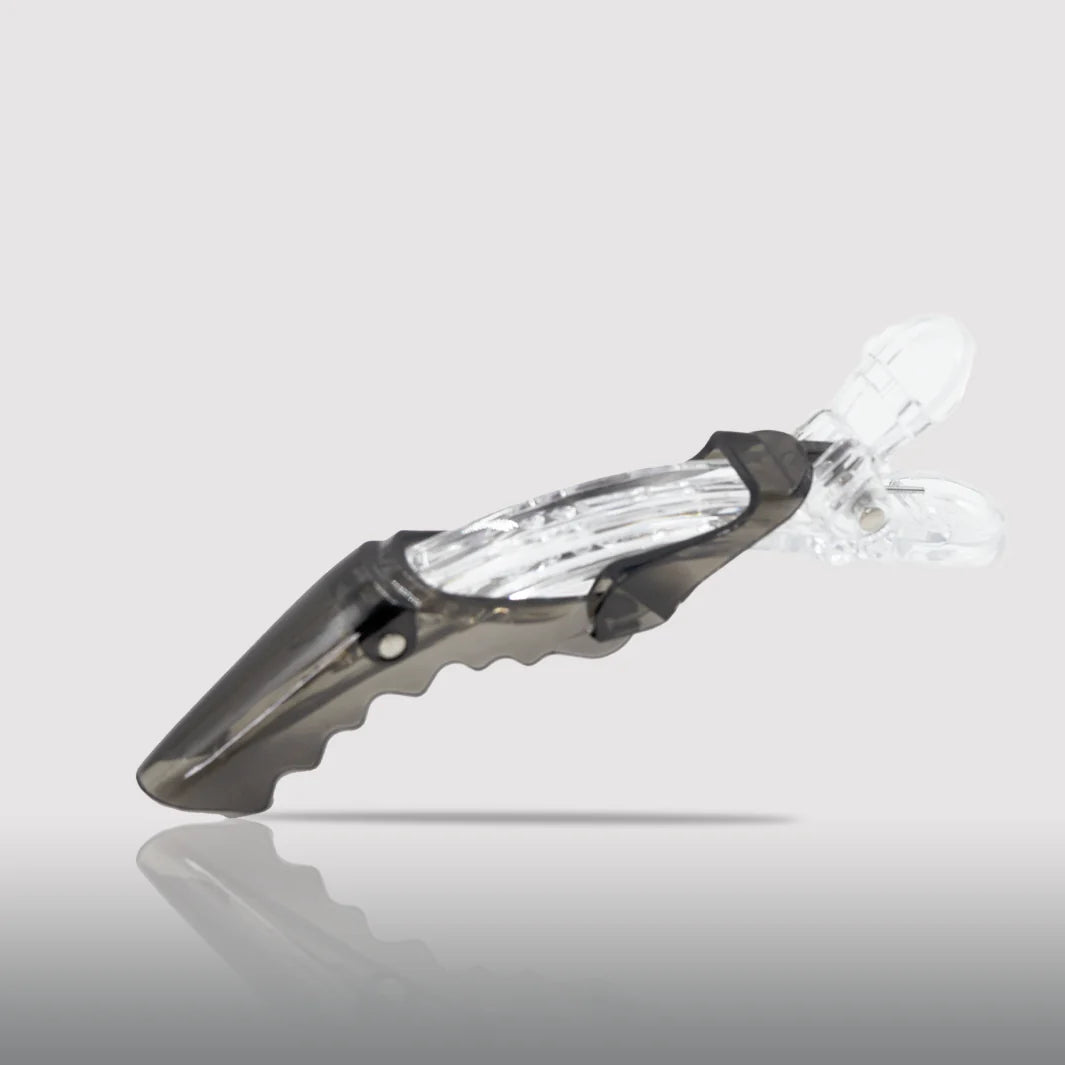 Pinzas para el pelo de dragón